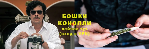 соль ск Бородино