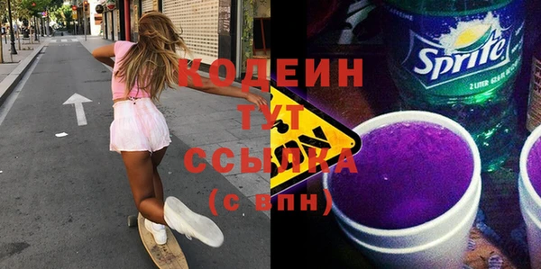 соль ск Бородино