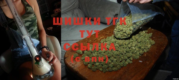 соль ск Бородино